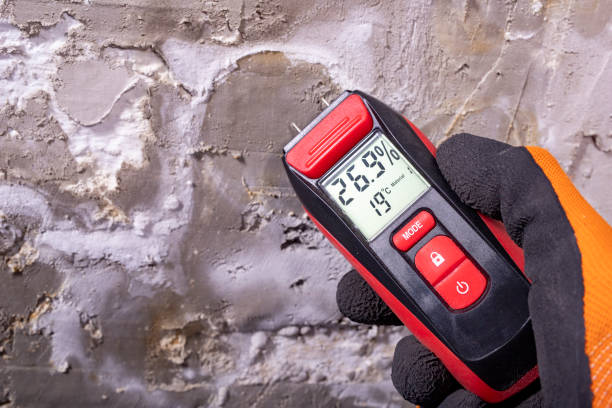Best Mold Damage Repair  in South Tucson, AZ